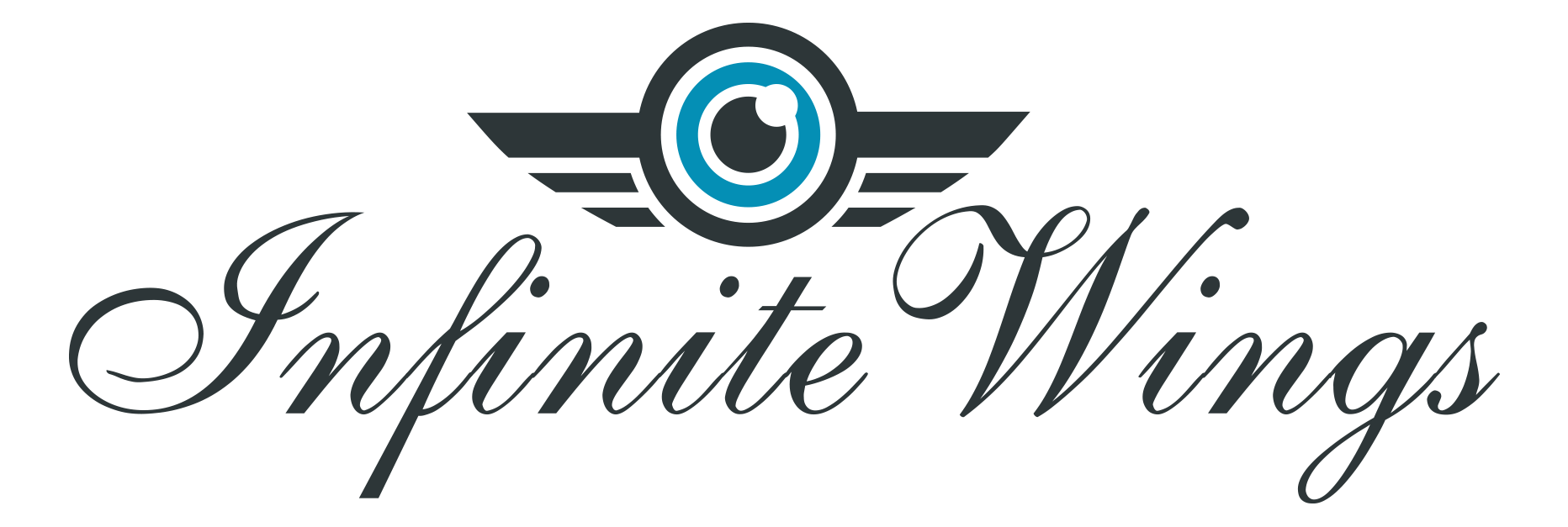 infinite wing studios